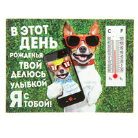  Магниты с термометром — двойная польза